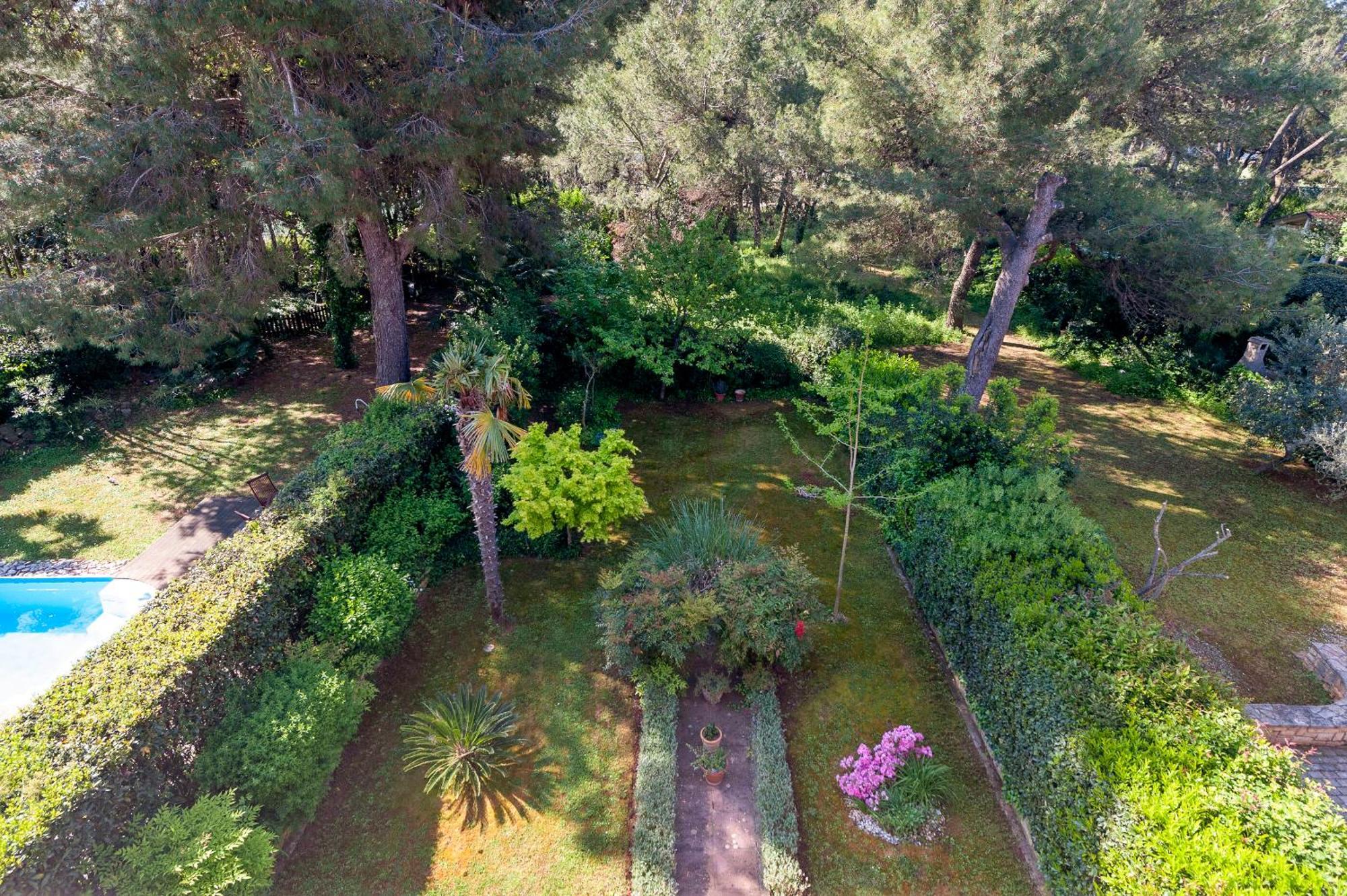 Apartments Branko Ρόβινι Εξωτερικό φωτογραφία